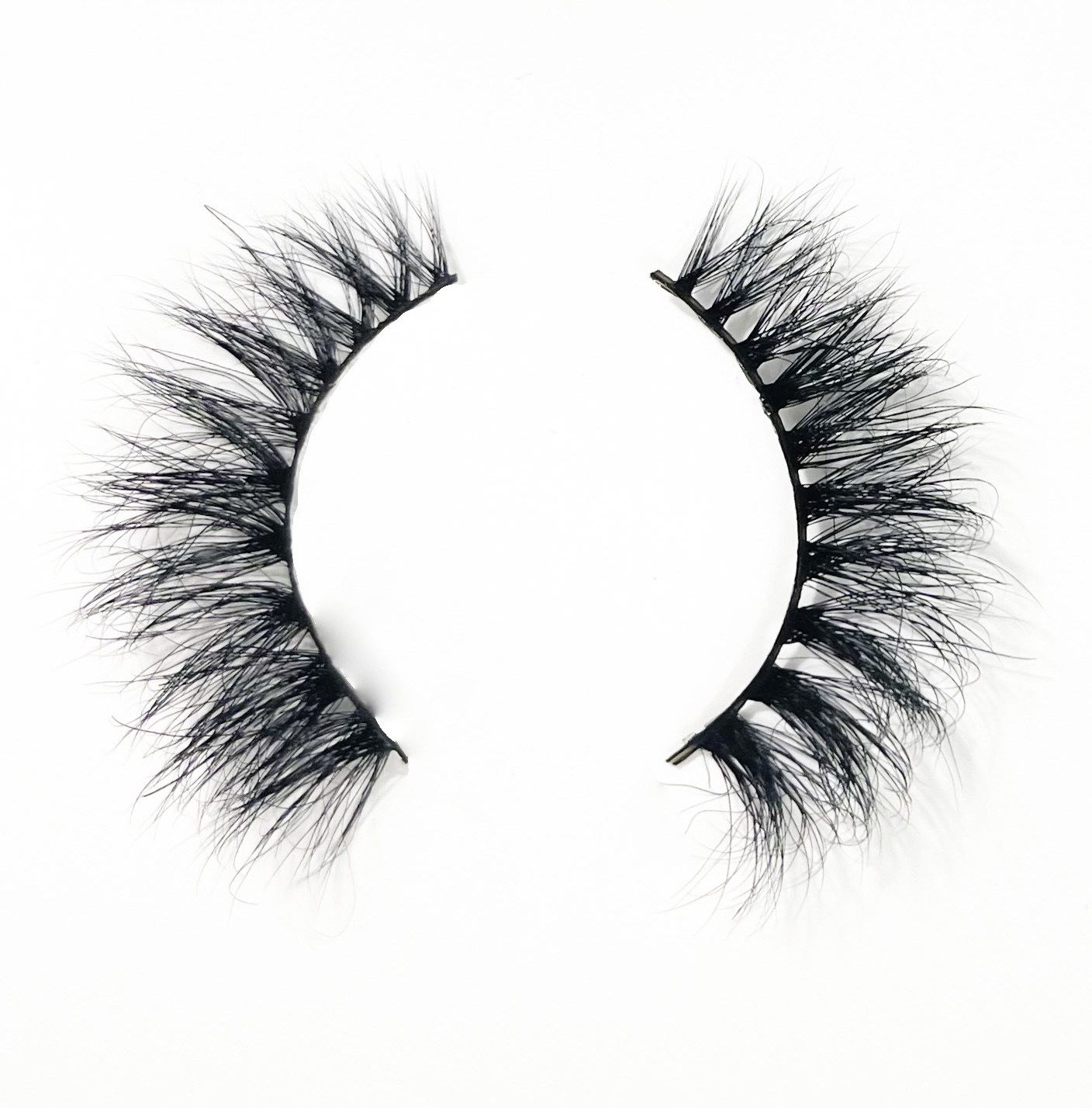 6F15EABD-670C-4BF4-BFB6-78A5D1F1960B